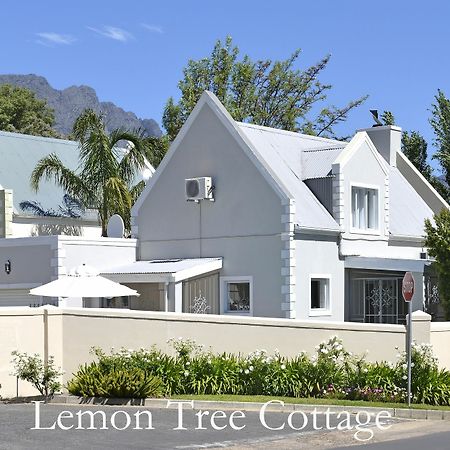 Lemon Tree Cottage Self Catering Franschhoek Esterno foto