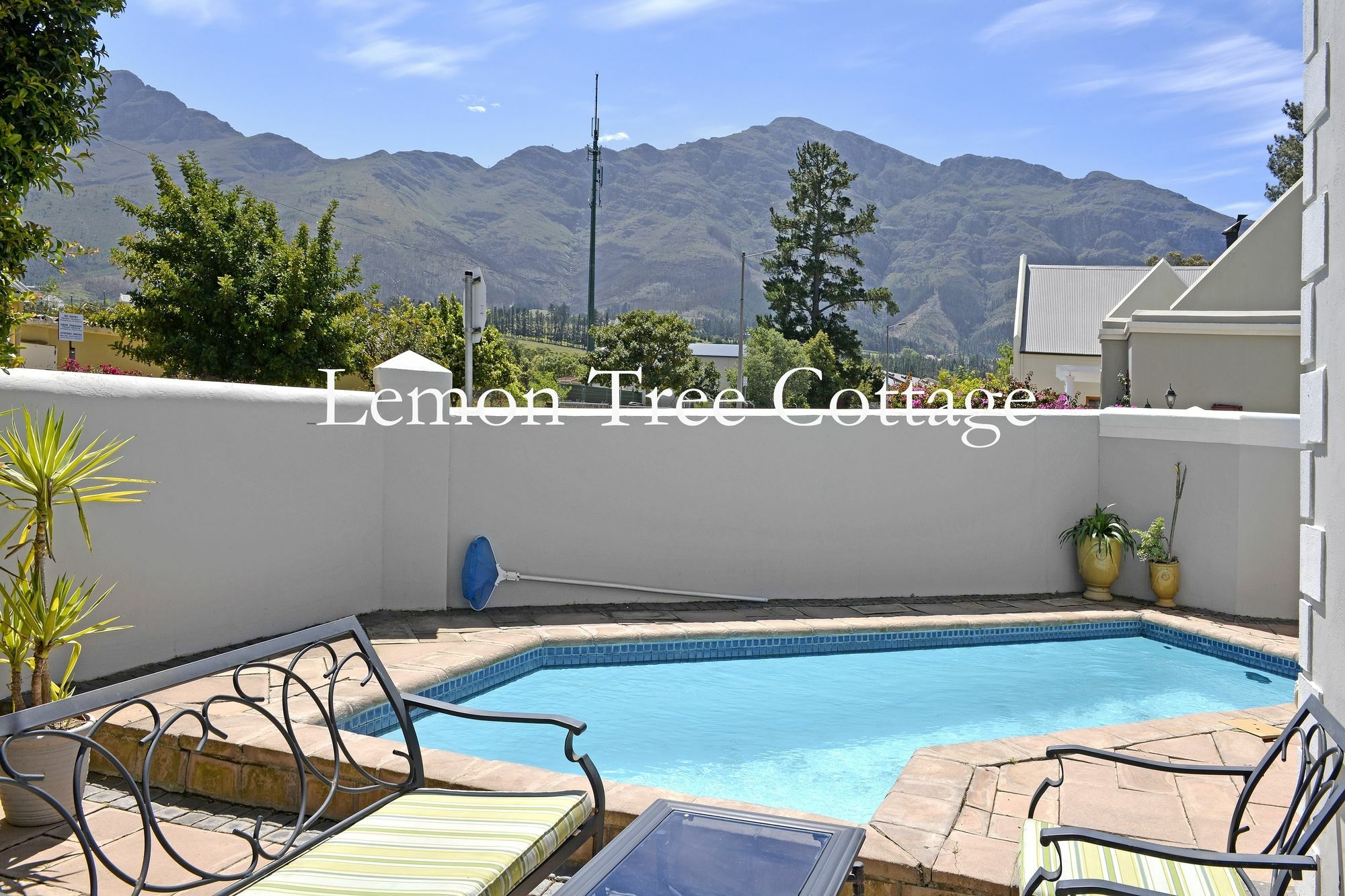 Lemon Tree Cottage Self Catering Franschhoek Esterno foto